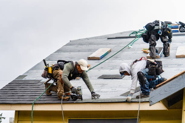 Professional Roofing technician working in Pavilion, NY